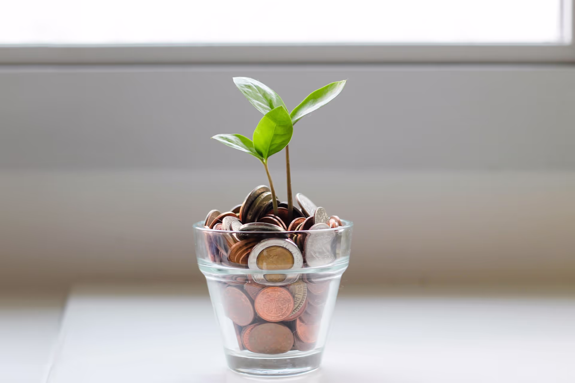 Empower growth